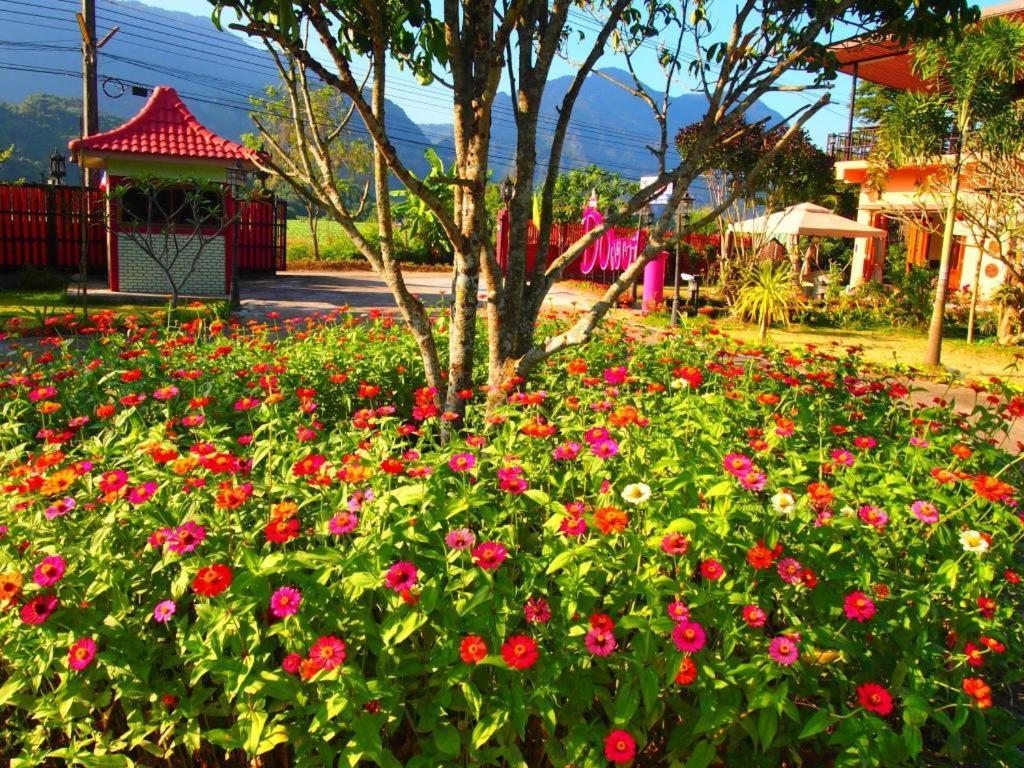 Donut Resort Mae Sai Exterior photo